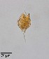  ( - PanCan-0134)  @11 [ ] by-nc-sa (2025) Smithsonian Tropical Research Institute Smithsonian Tropical Research Institute