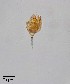  ( - PanCan-0134)  @11 [ ] by-nc-sa (2025) Smithsonian Tropical Research Institute Smithsonian Tropical Research Institute