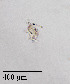  ( - PanCan-0135)  @11 [ ] by-nc-sa (2025) Smithsonian Tropical Research Institute Smithsonian Tropical Research Institute