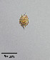  ( - PanCan-0179)  @11 [ ] by-nc-sa (2025) Smithsonian Tropical Research Institute Smithsonian Tropical Research Institute