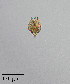  ( - PanCan-0179)  @11 [ ] by-nc-sa (2025) Smithsonian Tropical Research Institute Smithsonian Tropical Research Institute