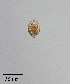  ( - PanCan-0179)  @11 [ ] by-nc-sa (2025) Smithsonian Tropical Research Institute Smithsonian Tropical Research Institute
