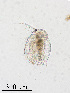  ( - PanCan-0297)  @11 [ ] by-nc-sa (2025) Smithsonian Tropical Research Institute Smithsonian Tropical Research Institute