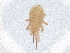  ( - PCPEAT-0017)  @11 [ ] CreativeCommons - Attribution Share Alike (2025) CBG Photography Group Centre for Biodiversity Genomics