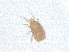  ( - PCPEAT-0107)  @11 [ ] CreativeCommons - Attribution Share Alike (2025) CBG Photography Group Centre for Biodiversity Genomics