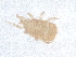  ( - PCPEAT-1379)  @11 [ ] CreativeCommons - Attribution Share Alike (2025) CBG Photography Group Centre for Biodiversity Genomics