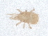 ( - PCPEAT-1417)  @11 [ ] CreativeCommons - Attribution Share Alike (2025) CBG Photography Group Centre for Biodiversity Genomics