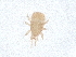  ( - PCPEAT-1763)  @11 [ ] CreativeCommons - Attribution Share Alike (2025) CBG Photography Group Centre for Biodiversity Genomics