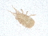  ( - PCPEAT-1778)  @11 [ ] CreativeCommons - Attribution Share Alike (2025) CBG Photography Group Centre for Biodiversity Genomics