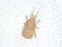  ( - PCPEAT-1833)  @11 [ ] CreativeCommons - Attribution Share Alike (2025) CBG Photography Group Centre for Biodiversity Genomics