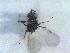  ( - CLV12108)  @12 [ ] Unspecified (default): All Rights Reserved  Unspecified Unspecified
