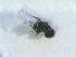  ( - CLV12308)  @12 [ ] Unspecified (default): All Rights Reserved  Unspecified Unspecified