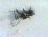  ( - CLV12808)  @12 [ ] Unspecified (default): All Rights Reserved  Unspecified Unspecified