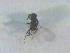  ( - CLV16608)  @12 [ ] Unspecified (default): All Rights Reserved  Unspecified Unspecified