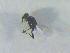  ( - CLV16708)  @12 [ ] Unspecified (default): All Rights Reserved  Unspecified Unspecified