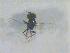  ( - CLV17208)  @12 [ ] Unspecified (default): All Rights Reserved  Unspecified Unspecified