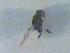  ( - CLV17508)  @12 [ ] Unspecified (default): All Rights Reserved  Unspecified Unspecified