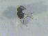  ( - CLV17908)  @12 [ ] Unspecified (default): All Rights Reserved  Unspecified Unspecified