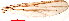  ( - song102)  @11 [ ] Copyright (2015) Chao Song Nankai University