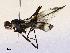  ( - CBG-A67006-D06)  @11 [ ] CreativeCommons - Attribution Share - Alike (2025) CBG Photography Group Centre for Biodiversity Genomics