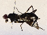  ( - CBG-A67006-D07)  @11 [ ] CreativeCommons - Attribution Share - Alike (2025) CBG Photography Group Centre for Biodiversity Genomics