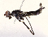  ( - CBG-A67006-F05)  @11 [ ] CreativeCommons - Attribution Share - Alike (2025) CBG Photography Group Centre for Biodiversity Genomics