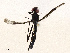  ( - CBG-A67006-G08)  @11 [ ] CreativeCommons - Attribution Share - Alike (2025) CBG Photography Group Centre for Biodiversity Genomics