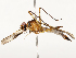  ( - CBG-A67801-A10)  @11 [ ] CreativeCommons - Attribution Share - Alike (2025) CBG Photography Group Centre for Biodiversity Genomics