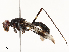  ( - CBG-A67924-H03)  @11 [ ] CreativeCommons - Attribution Share - Alike (2025) CBG Photography Group Centre for Biodiversity Genomics