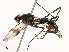  ( - CBG-A67924-H04)  @11 [ ] CreativeCommons - Attribution Share - Alike (2025) CBG Photography Group Centre for Biodiversity Genomics