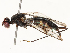  ( - CBG-A67924-H05)  @11 [ ] CreativeCommons - Attribution Share - Alike (2025) CBG Photography Group Centre for Biodiversity Genomics