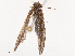  ( - CBG-B21614-A05)  @11 [ ] CreativeCommons - Attribution Share - Alike (2025) CBG Photography Group Centre for Biodiversity Genomics