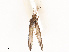  ( - CBG-B21614-B02)  @11 [ ] CreativeCommons - Attribution Share - Alike (2025) CBG Photography Group Centre for Biodiversity Genomics