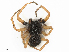  ( - CBG-B21791-G04)  @11 [ ] CreativeCommons - Attribution Share - Alike (2025) CBG Photography Group Centre for Biodiversity Genomics