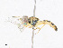  ( - CBG-A23296-H03)  @11 [ ] CreativeCommons - Attribution Share - Alike (2023) CBG Photography Group Centre for Biodiversity Genomics