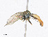  ( - CBG-A23296-H05)  @11 [ ] CreativeCommons - Attribution Share - Alike (2023) CBG Photography Group Centre for Biodiversity Genomics