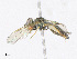  ( - CBG-A23296-H06)  @11 [ ] CreativeCommons - Attribution Share - Alike (2023) CBG Photography Group Centre for Biodiversity Genomics