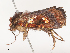  ( - CBG-A53606-H03)  @11 [ ] CreativeCommons - Attribution Share - Alike (2024) CBG Photography Group Centre for Biodiversity Genomics