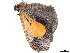  ( - CBG-A53637-D07)  @11 [ ] CreativeCommons - Attribution Share - Alike (2025) CBG Photography Group Centre for Biodiversity Genomics