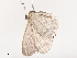  ( - CBG-A53640-A02)  @11 [ ] CreativeCommons - Attribution Share - Alike (2024) CBG Photography Group Centre for Biodiversity Genomics