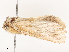  ( - CBG-A53640-G07)  @11 [ ] CreativeCommons - Attribution Share - Alike (2024) CBG Photography Group Centre for Biodiversity Genomics