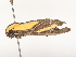  ( - CBG-A53641-C08)  @11 [ ] CreativeCommons - Attribution Share - Alike (2024) CBG Photography Group Centre for Biodiversity Genomics