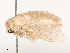 ( - CBG-A53641-D07)  @11 [ ] CreativeCommons - Attribution Share - Alike (2024) CBG Photography Group Centre for Biodiversity Genomics
