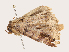  ( - CBG-A53641-G09)  @11 [ ] CreativeCommons - Attribution Share - Alike (2024) CBG Photography Group Centre for Biodiversity Genomics