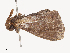  ( - CBG-A53642-A08)  @11 [ ] CreativeCommons - Attribution Share - Alike (2024) CBG Photography Group Centre for Biodiversity Genomics
