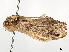  ( - CBG-A53643-B03)  @11 [ ] CreativeCommons - Attribution (2024) CBG Photography Group Centre for Biodiversity Genomics
