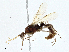  ( - CBG-A00279-B04)  @11 [ ] CreativeCommons - Attribution (2023) CBG Photography Group Centre for Biodiversity Genomics