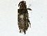  ( - CBG-A00333-G01)  @11 [ ] CreativeCommons - Attribution (2023) CBG Photography Group Centre for Biodiversity Genomics