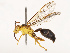  ( - CBG-B21731-F10)  @11 [ ] CreativeCommons - Attribution Share - Alike (2025) CBG Photography Group Centre for Biodiversity Genomics