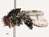  ( - CBG-B22879-A10)  @11 [ ] CreativeCommons - Attribution Share - Alike (2025) CBG Photography Group Centre for Biodiversity Genomics